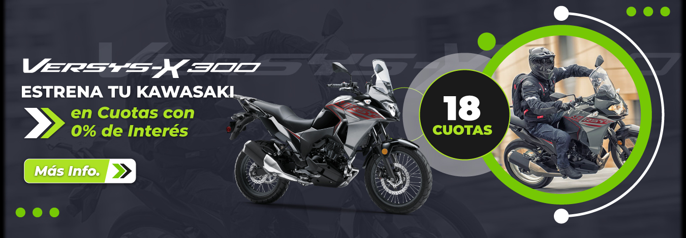 Kawasaki Versys 300